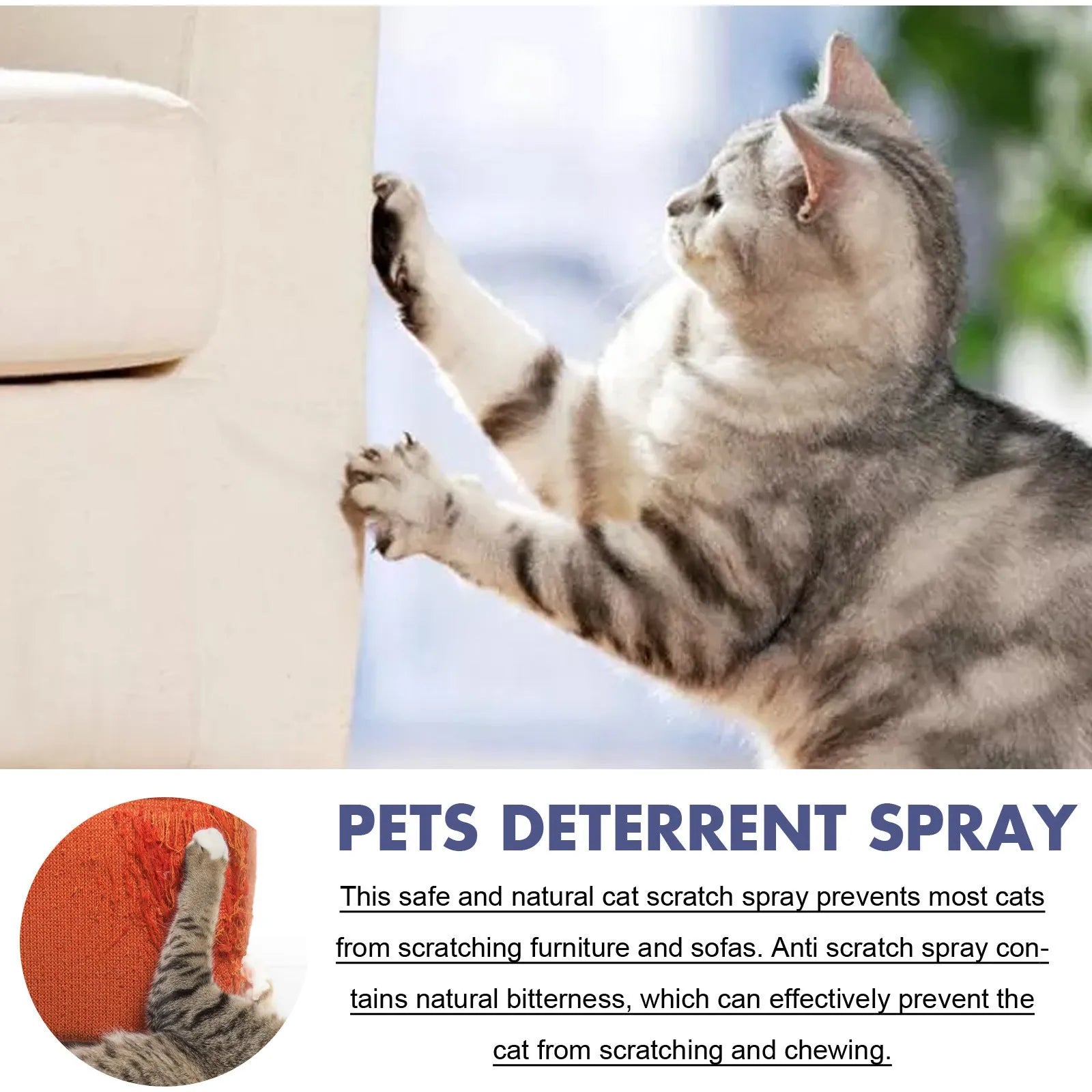 50ml pet spray bottle in box for deterring dog and cat scratching on furniture