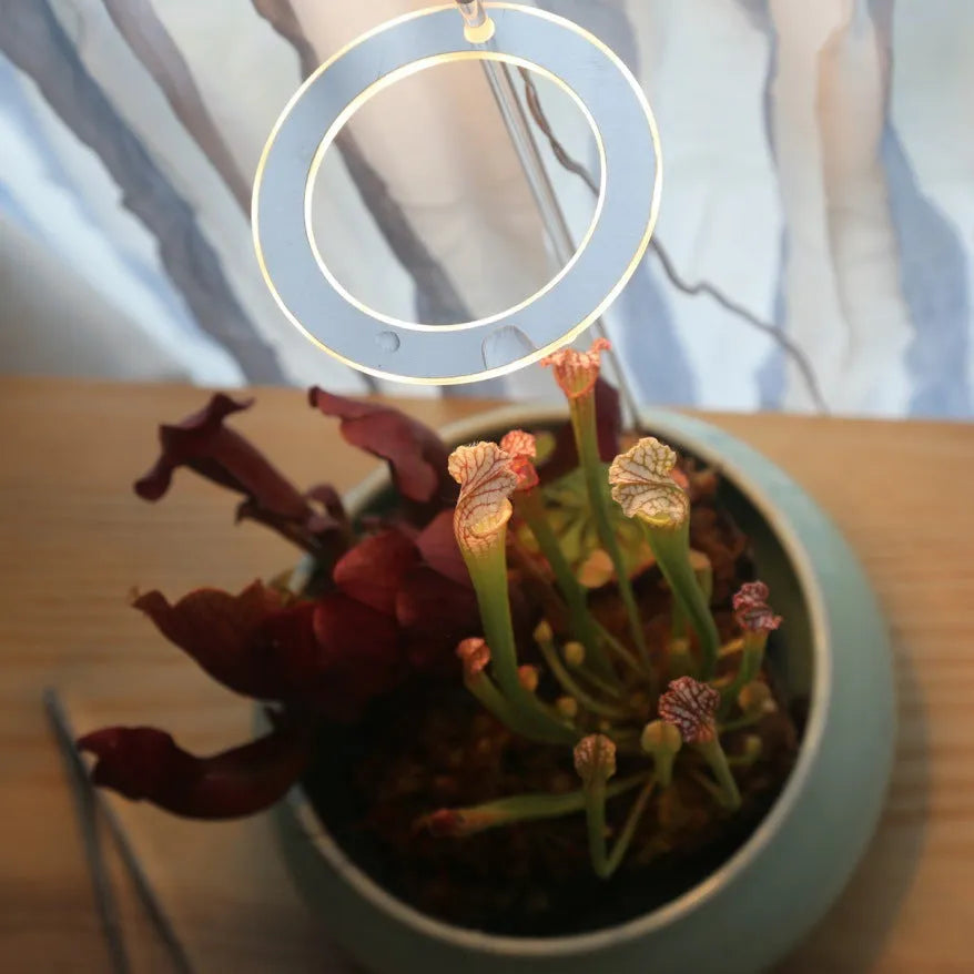 USB LED plant grow light with acrylic stick showing pink/white or yellow colour options
