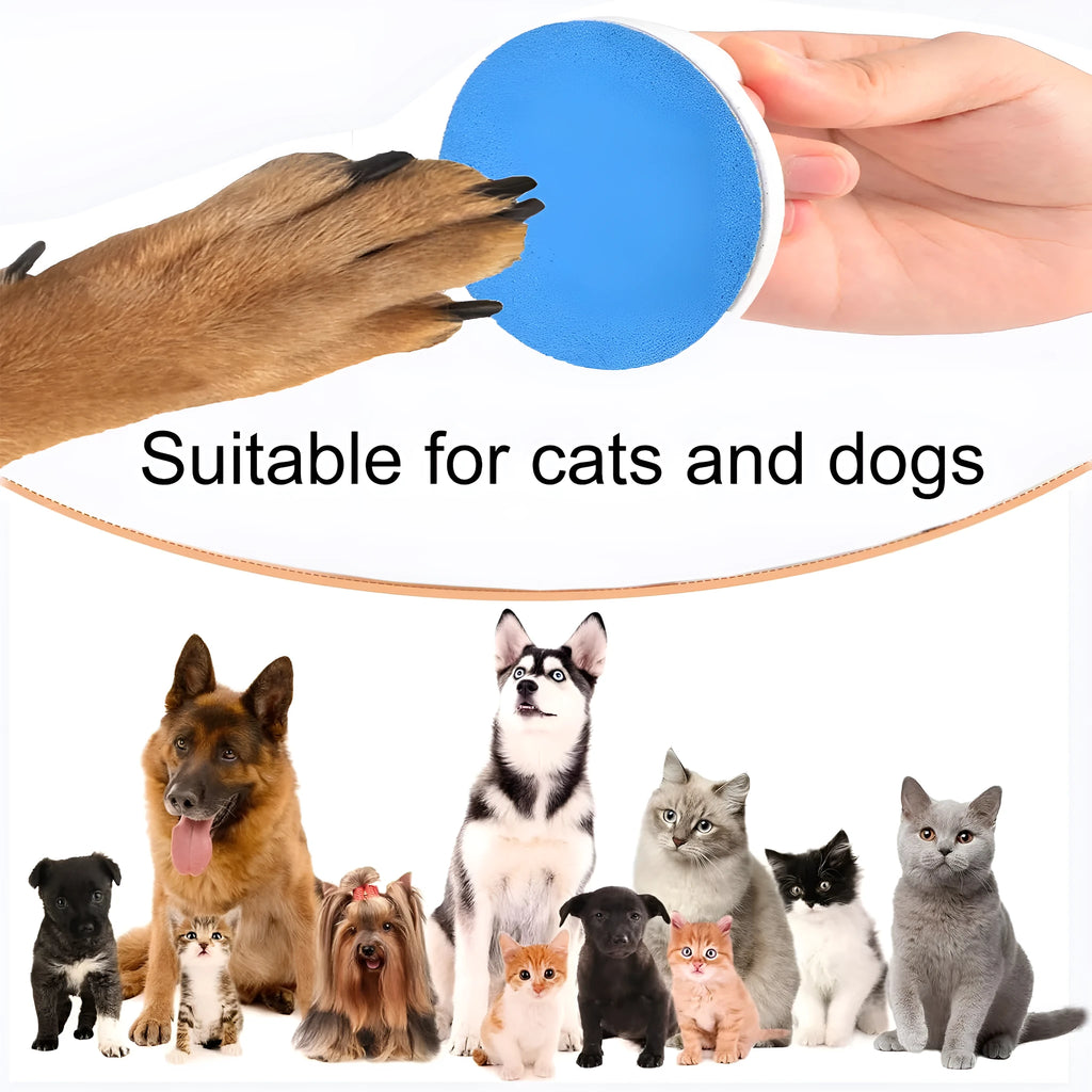 Square dog nail file board with ergonomic handle in blue colour option