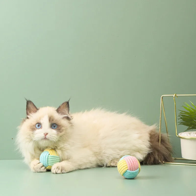 Handmade plush cotton ball cat toy in blue pink, green blue, and pink green colours, shown at 5cm size.