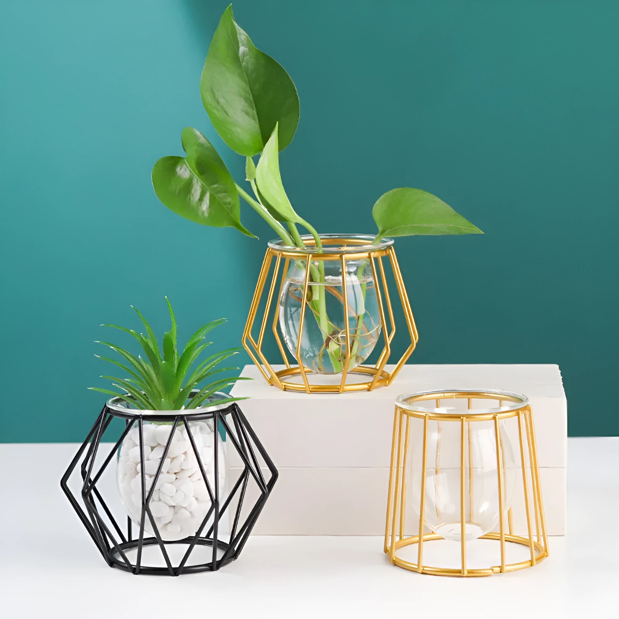 Nordic glass and iron desktop decoration in hexagonal shape with gold spray paint finish