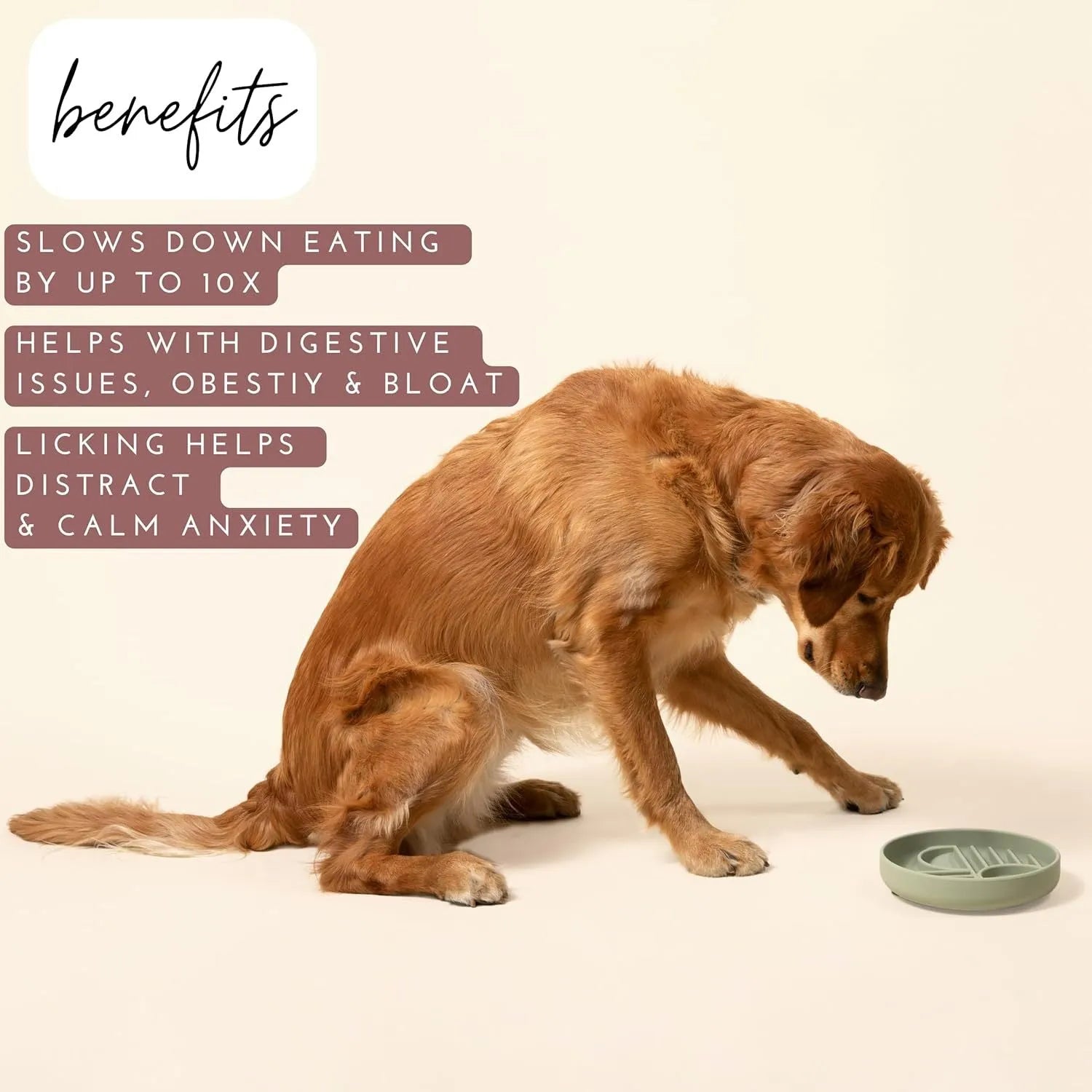 Silicone slow feeder dog bowl with ridges, shown in mustard green colour