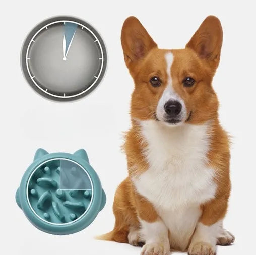 Green pet slow feeder bowl with raised internal maze design for dogs and cats