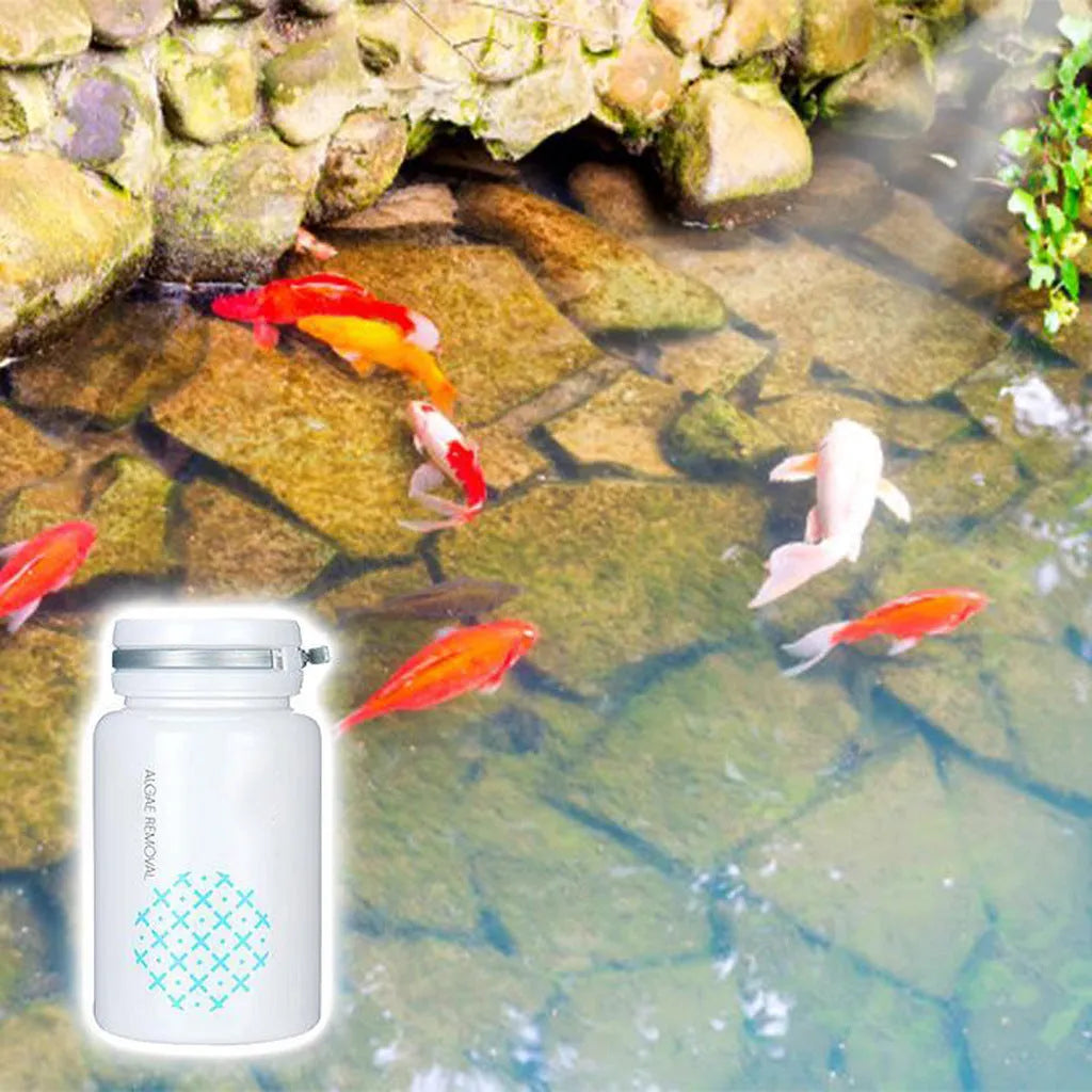 50g net content algaecide pack for swimming pool and aquarium algae control
