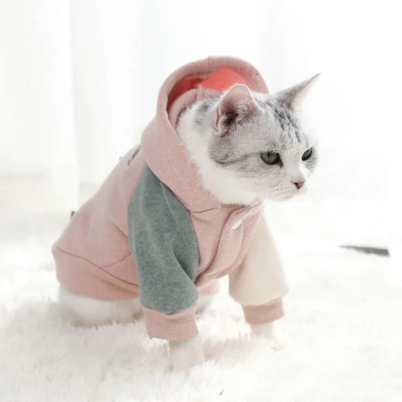 Brown cotton dog sweatshirt on a pet, showing casual fit and soft fabric texture.