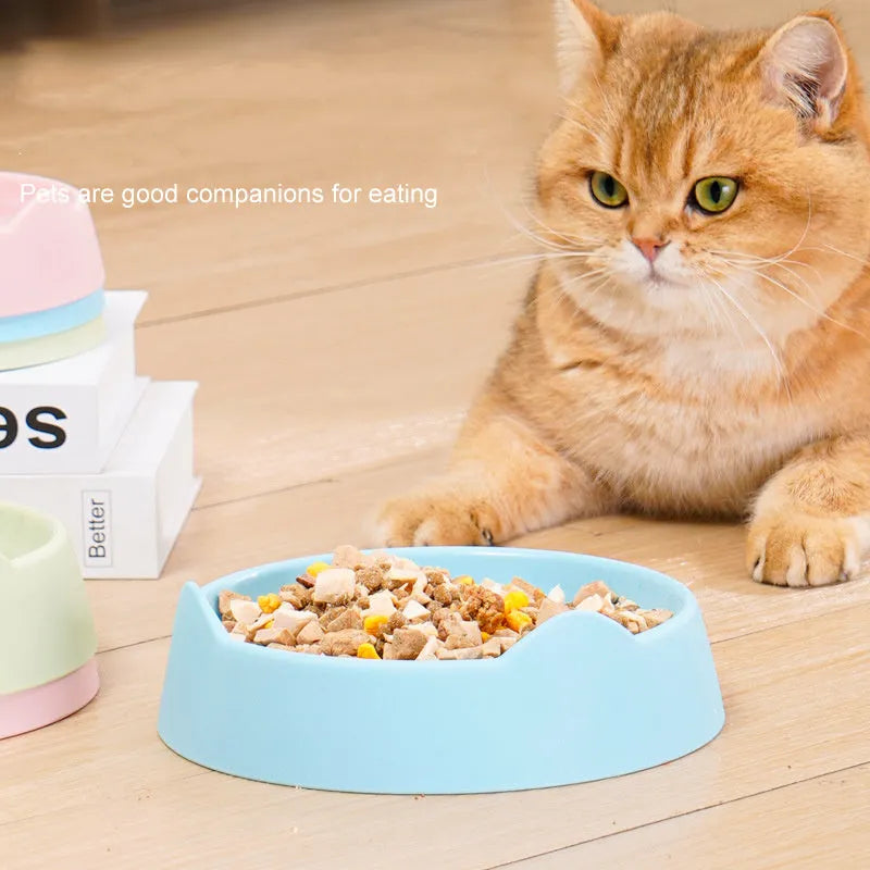 Ceramic dog slow feeder bowl with puzzle maze design in blue, green, or pink