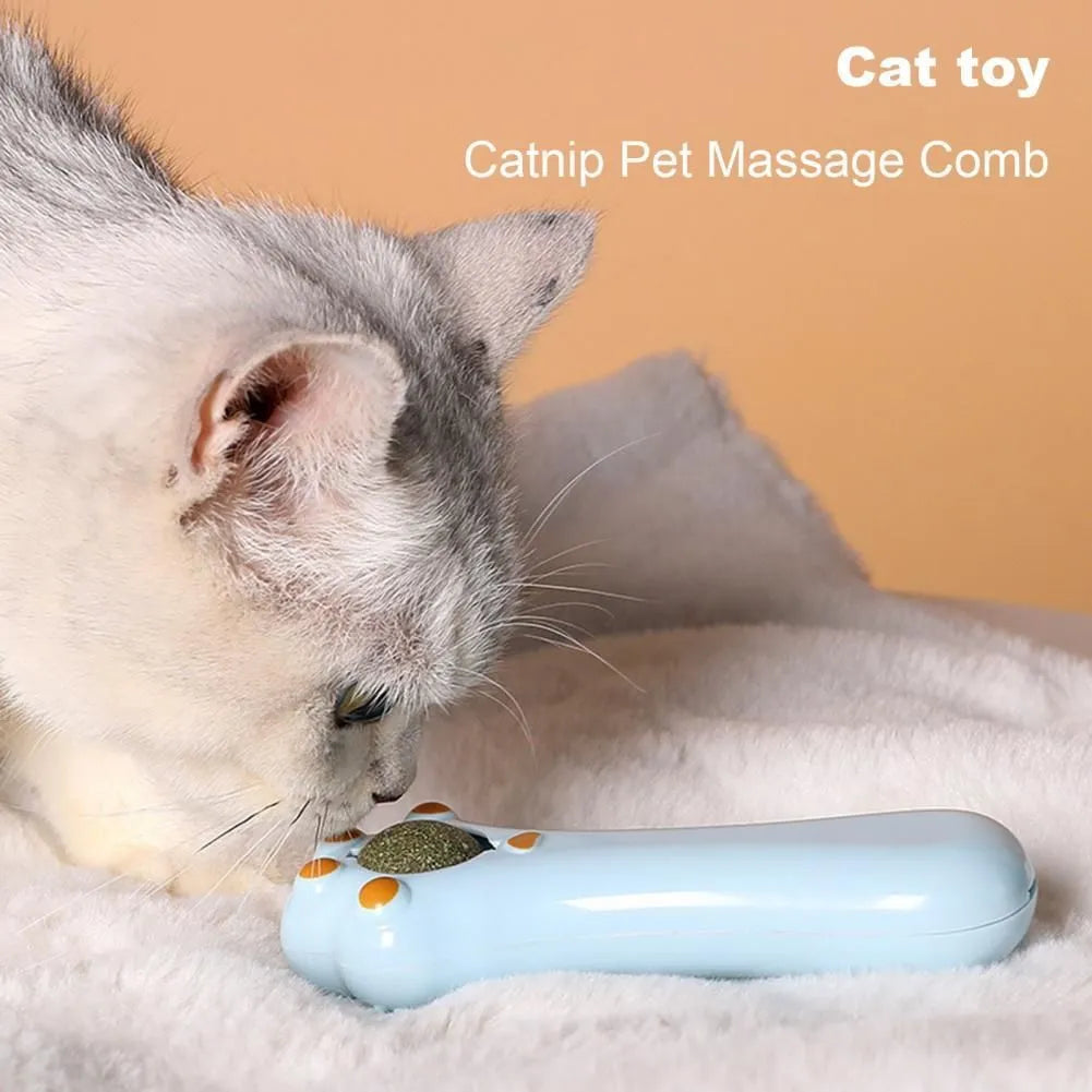 Cartoon design cat massage comb and dental toy with catnip in assorted colours