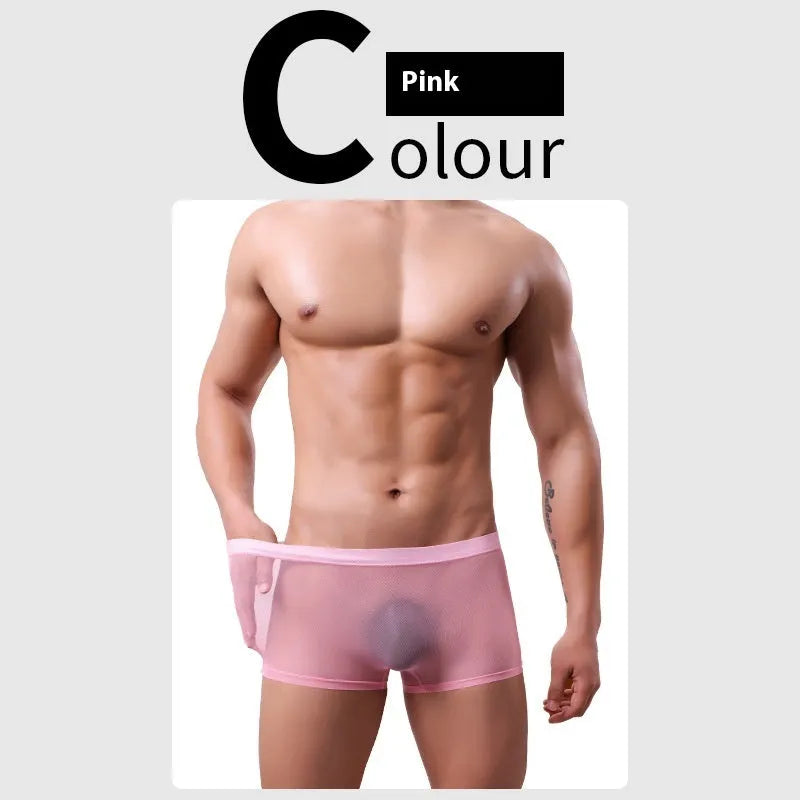 Men's thin sheer mesh boxer briefs in low-waist design, shown in multiple colours.