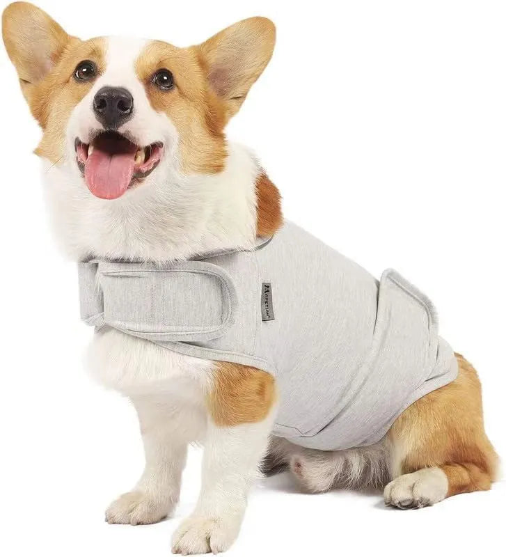 Dog wearing brown brocade cotton tank top designed for separation anxiety relief