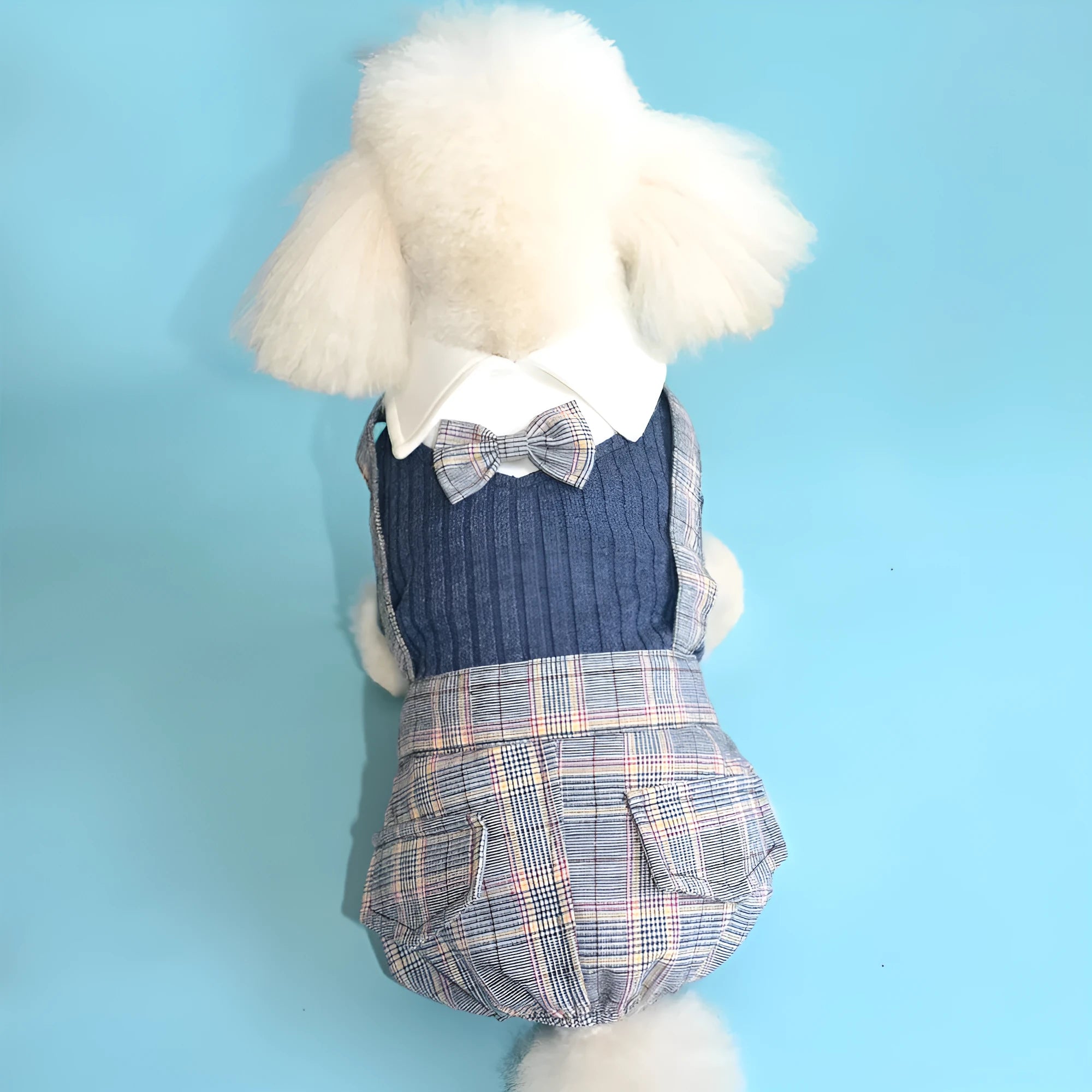 Orange and dark blue cotton shirt for small dogs on a size chart showing S, M, L, XL, 2XL