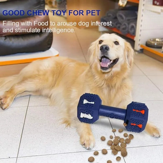Blue durable rubber dumbbell dog chew toy with textured surface for dental cleaning.