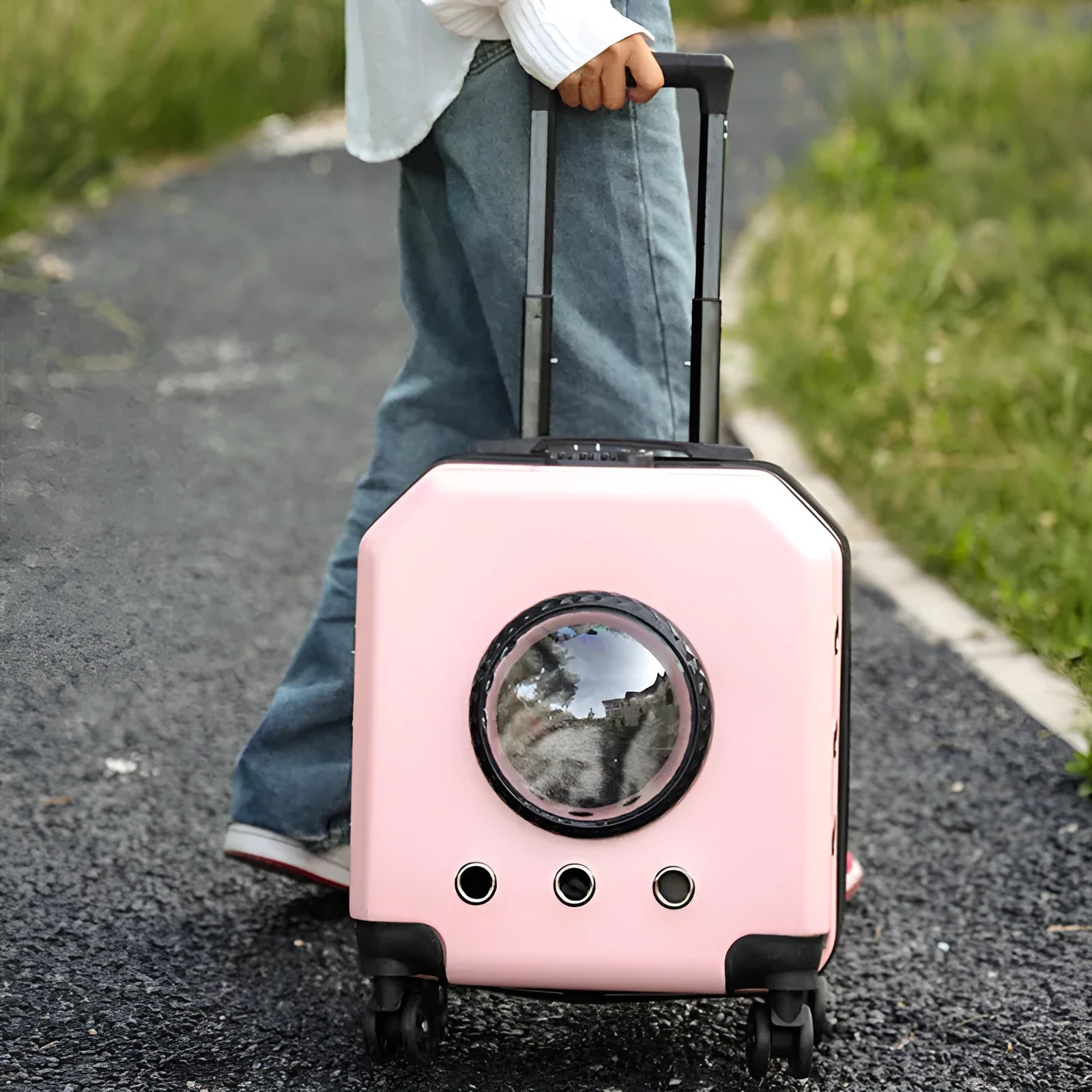 PVC hard shell cat flight trolley carrier in a choice of pink, burgundy, white, or orange