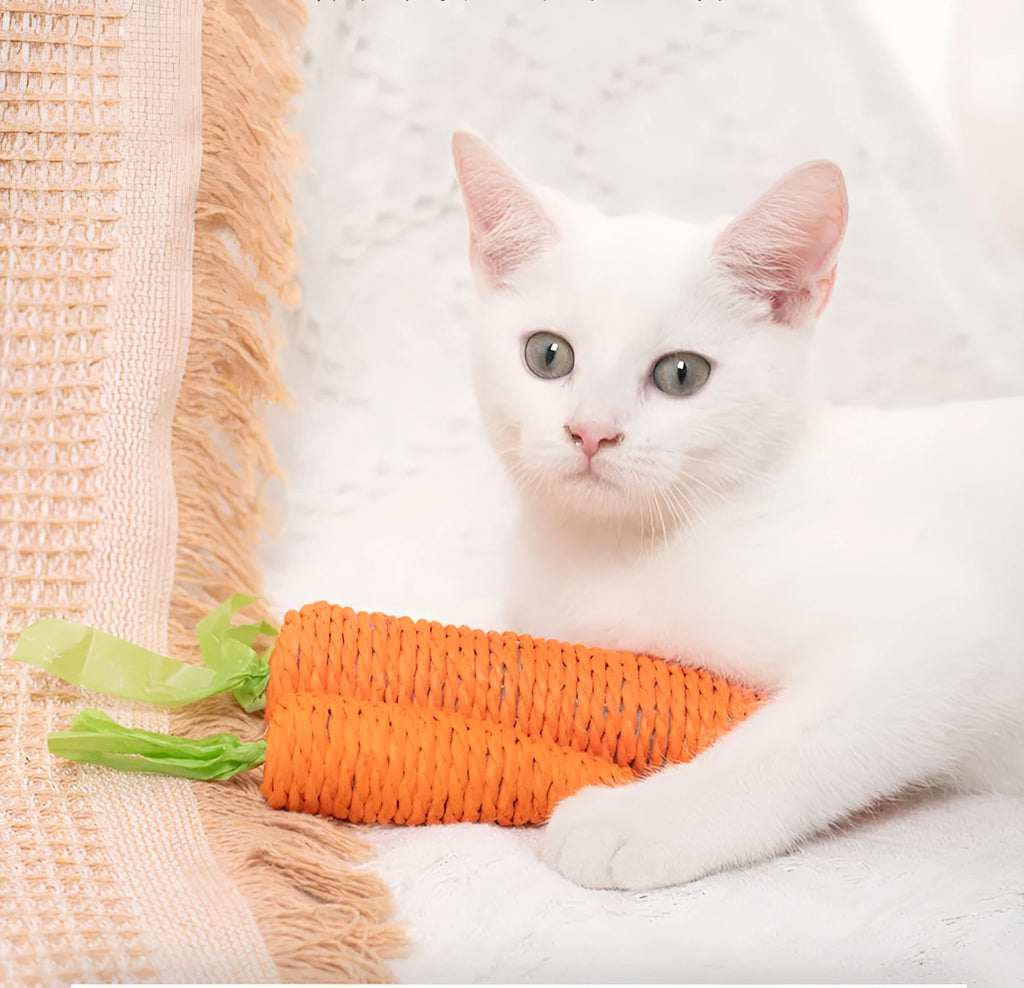 Set of cat toys including carrot bites, paper balls, ringing stones sticks, and dental chewing sticks in large and small sizes