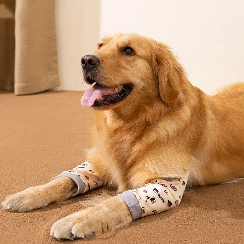 Blue dog knee protector with adjustable straps and matching scarf on medium-sized dog