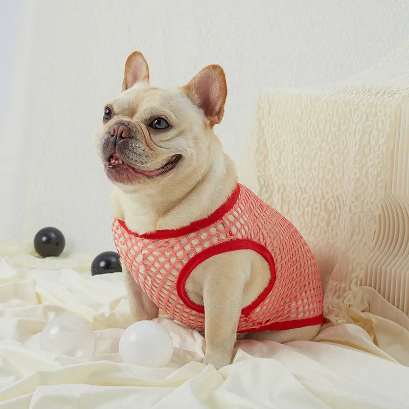 Hollow mesh dog vest in black with elastic large mesh fabric, side view on a dog