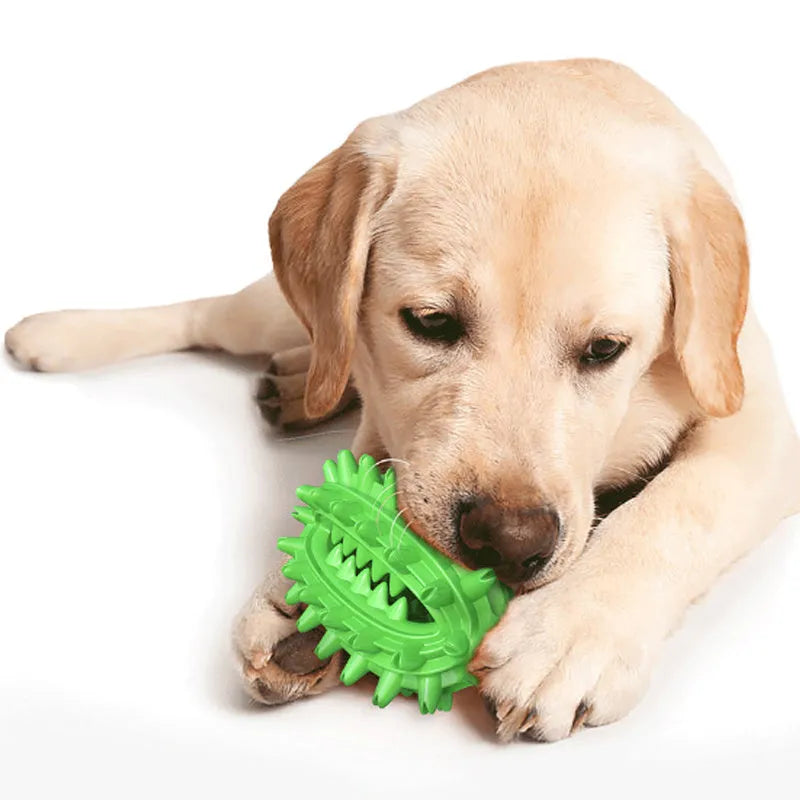 Green cactus-shaped dog toothbrush toy for medium to large aggressive chewers with dental polishing bumps