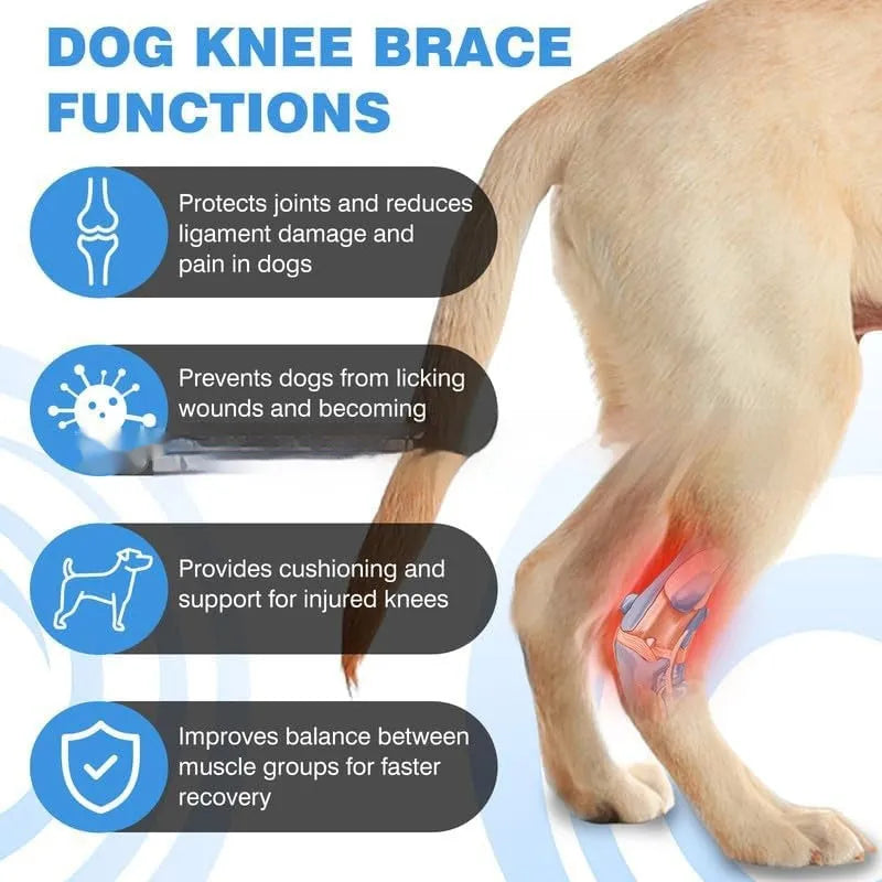 Black polyester leg guard for dog joint support and ACL tear rehabilitation