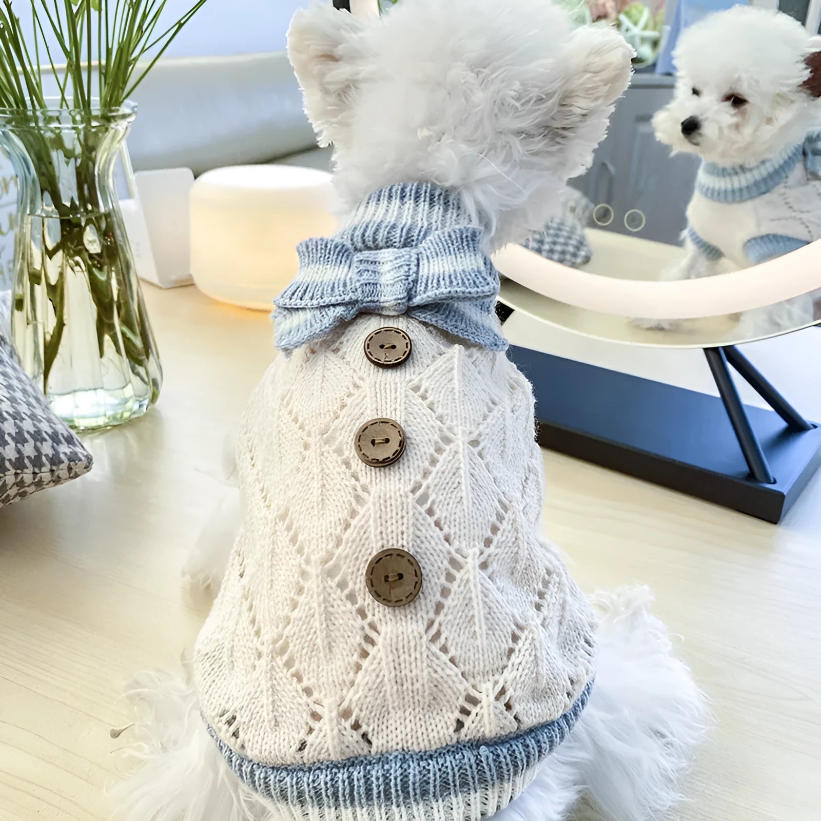 Bowknot hollow knit dog sweater in coffee white on a small dog, lattice pattern shown