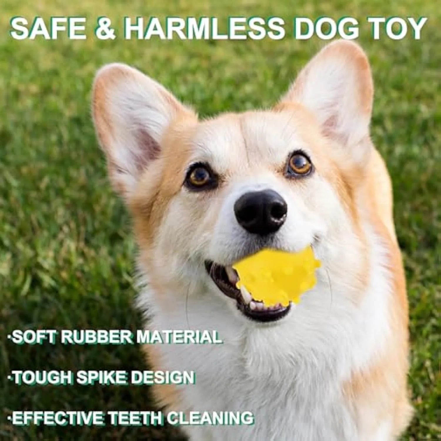 Bright coloured spiky dog toy balls for small puppies with squeaky features