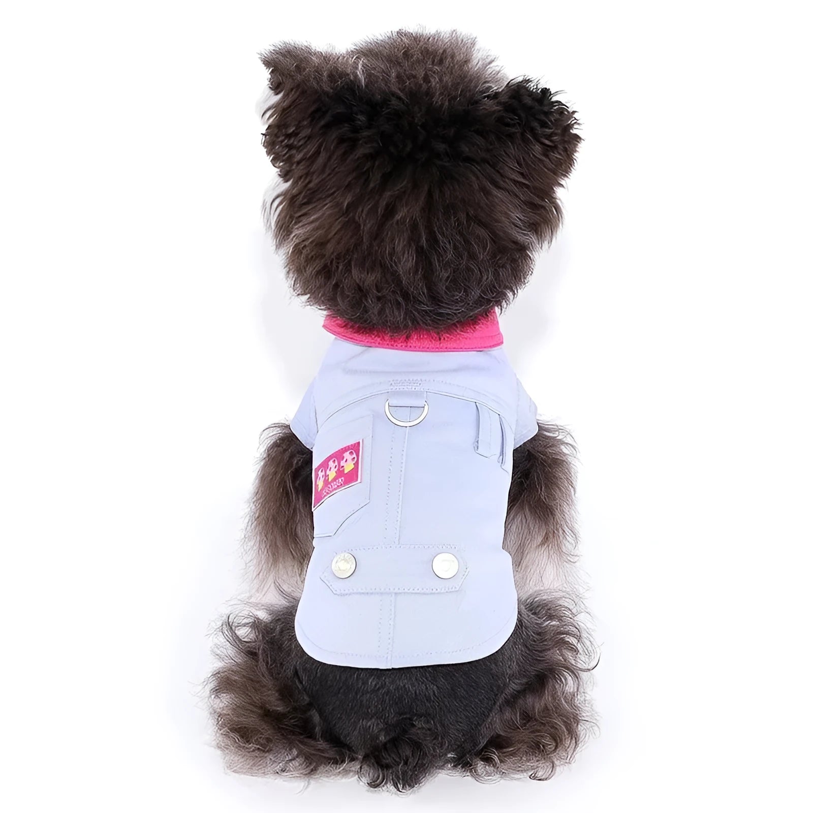 Blue and purple polyester vest for small dogs with back rope ring in seven sizes from XXS to XXL