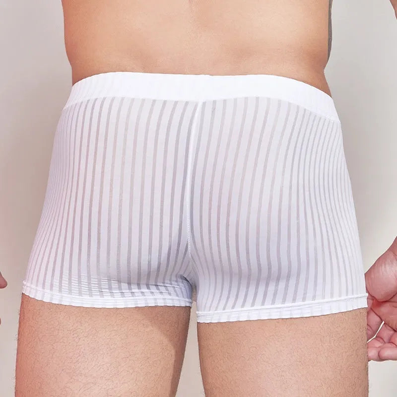 Men's striped transparent nylon underwear in black, white and dark grey colours