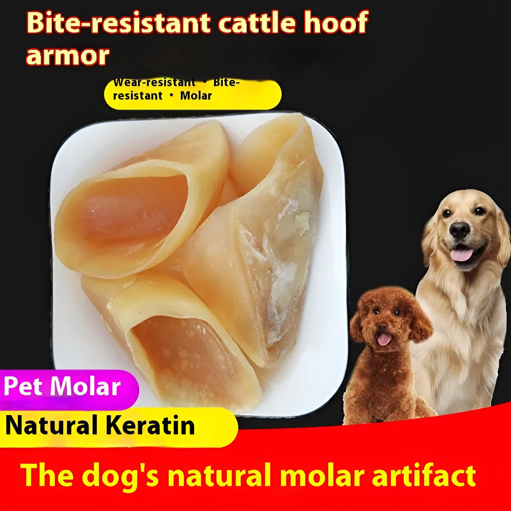 Natural cowhide dog chew toy in hoof shell colour, anti bite grinding rod for small and large dogs