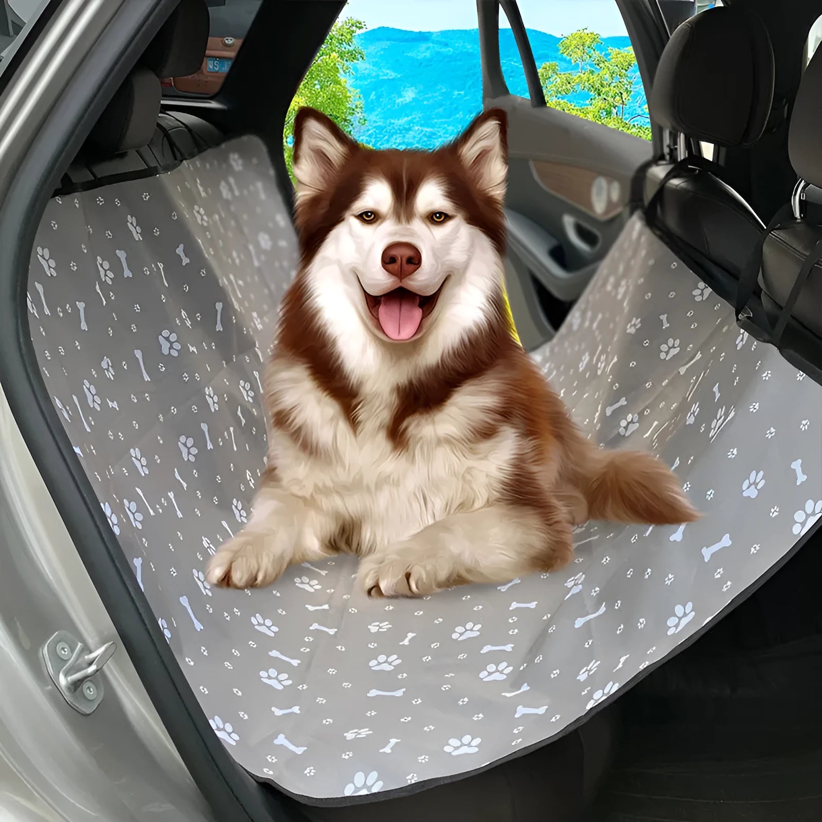 Washable cloth car pet mat for rear seat protection with dog bone print design.