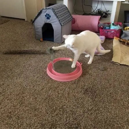 Interactive cat scratcher with rolling ball track and replaceable cardboard centre in blue colour