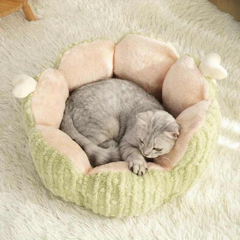 Green and purple cactus cat litter kennel pet bed for dogs and cats showing large and small size options