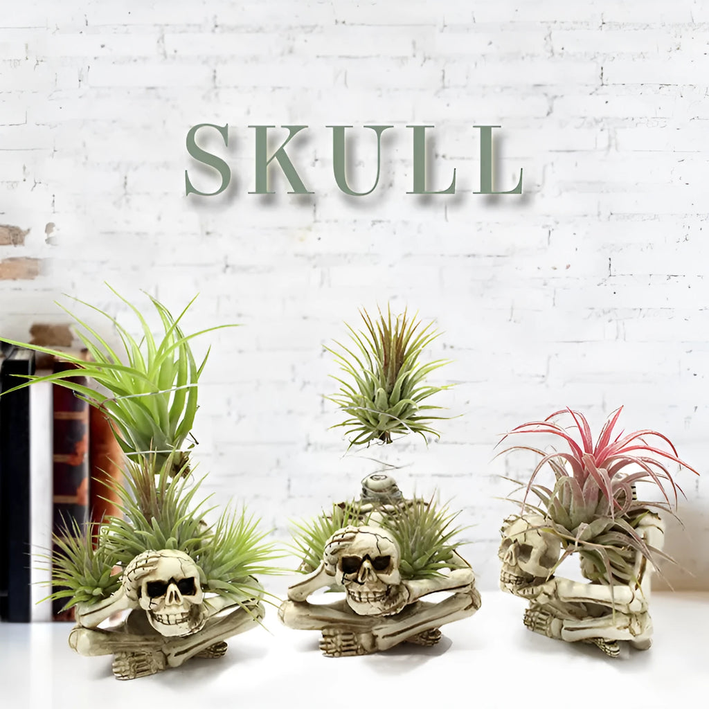 Gothic style resin Tillandsia bracket with skull decoration for air plants, measuring 7cm by 8cm by 12.5cm.