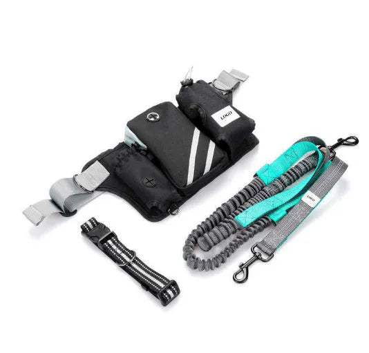 Black nylon dog walking waist bag with attached leash and collar for outdoor training
