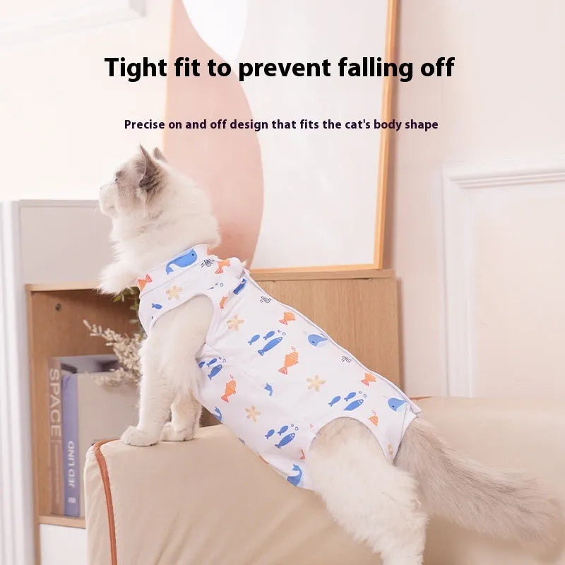 Colourful cat wearing a post-surgery recovery suit with Velcro fastening on its side.