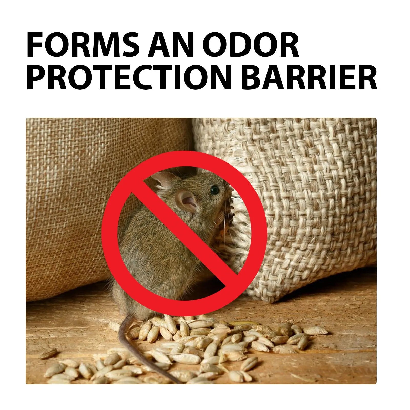 60ml bottle of natural rat repellent spray with clove, peppermint, camphor, and chilli oils