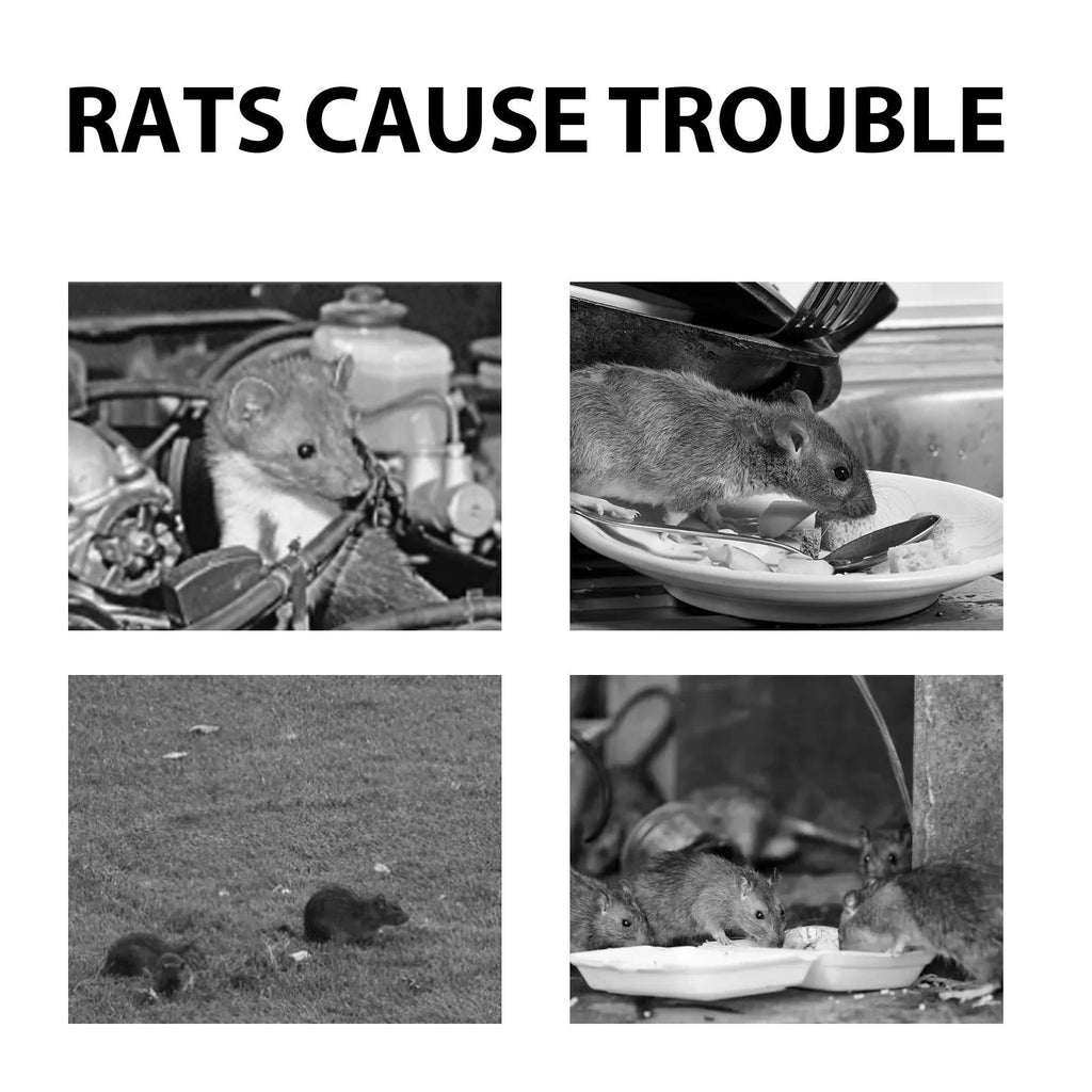 60ml bottle of natural rat repellent spray with clove, peppermint, camphor, and chilli oils