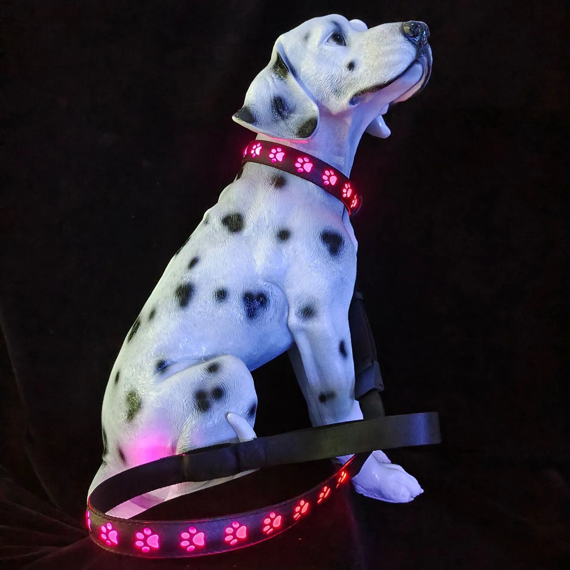 LED light-up dog collar with paw print pattern showing seven colour modes