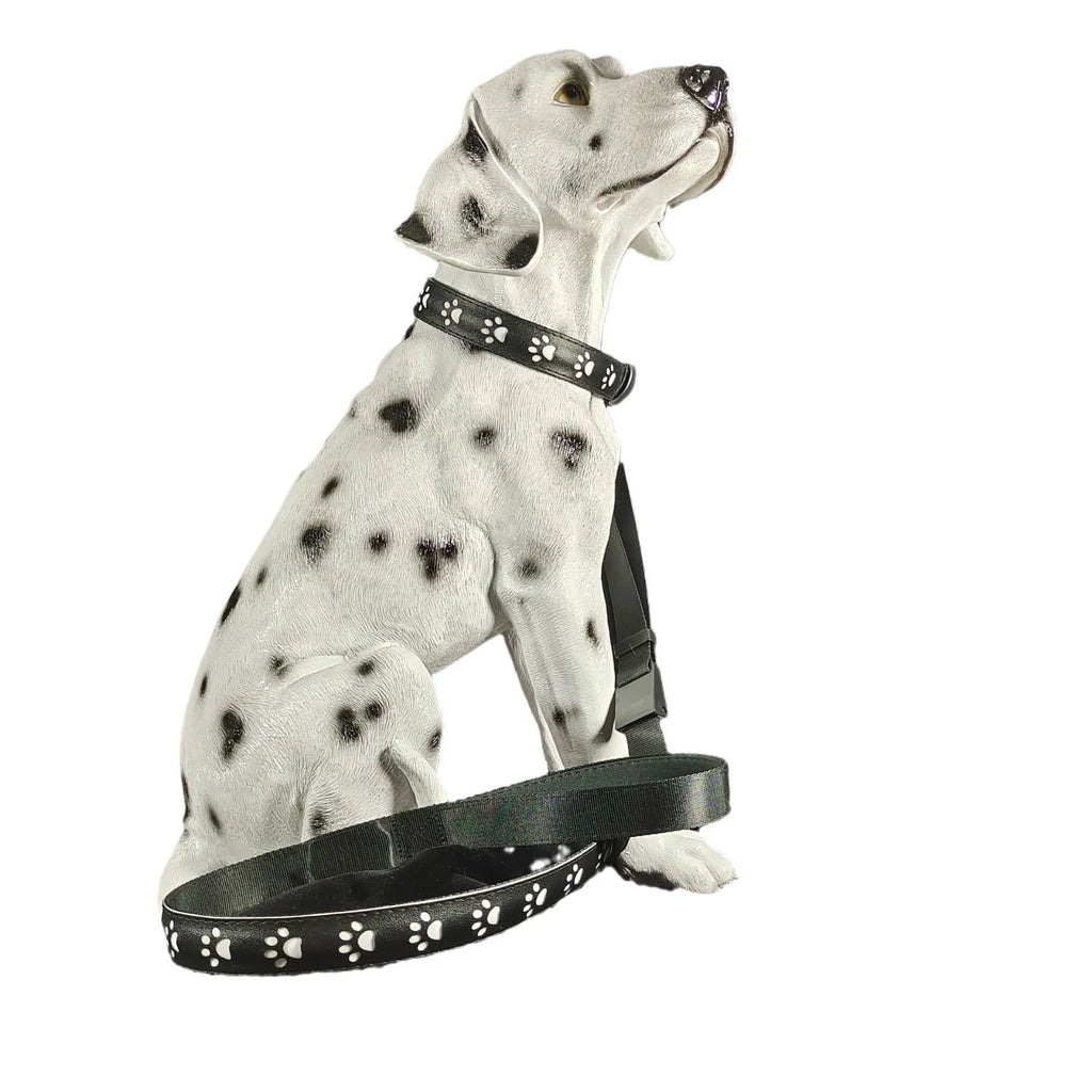 LED light-up dog collar with paw print pattern showing seven colour modes