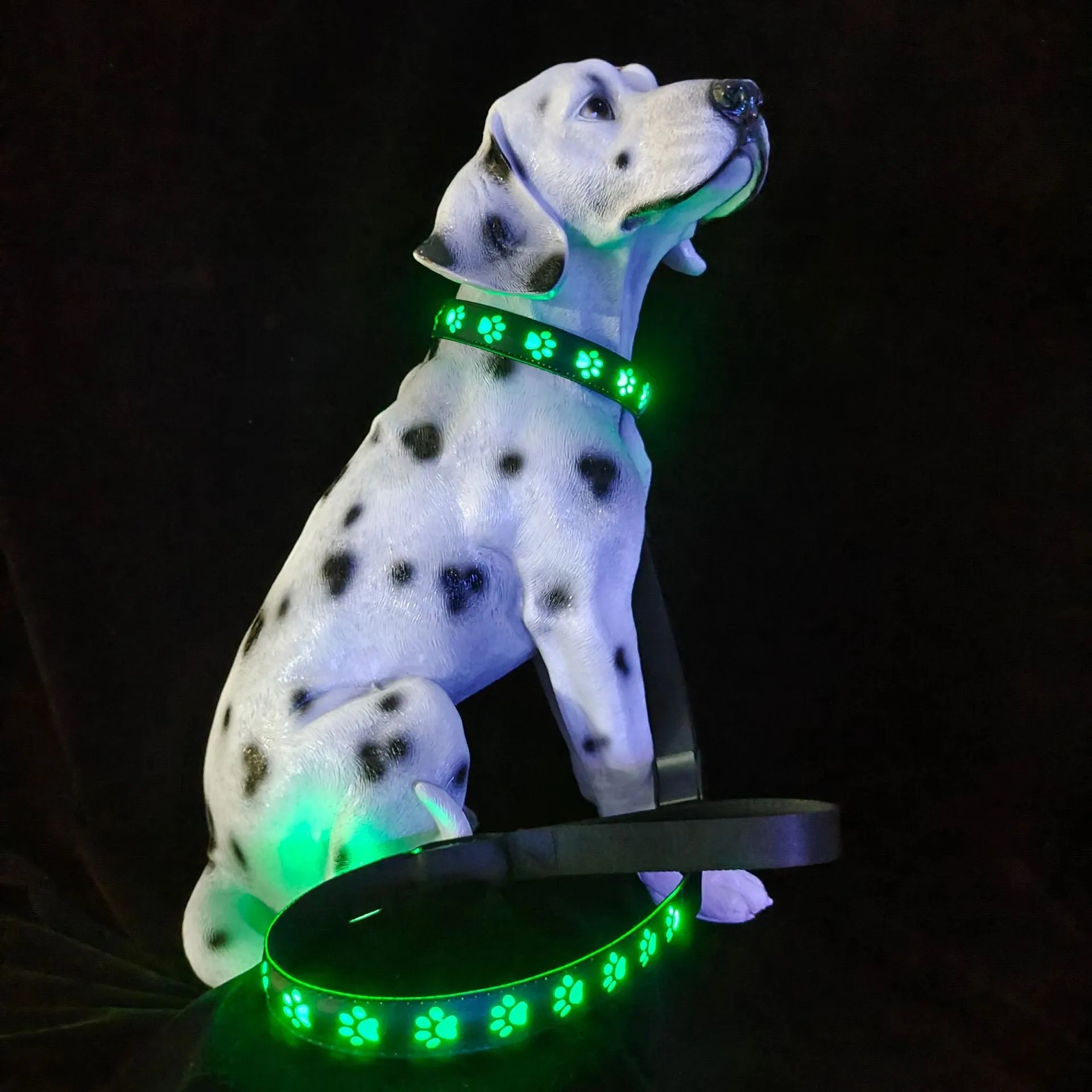 LED light-up dog collar with paw print pattern showing seven colour modes
