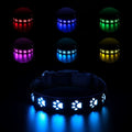 LED light-up dog collar with paw print pattern showing seven colour modes