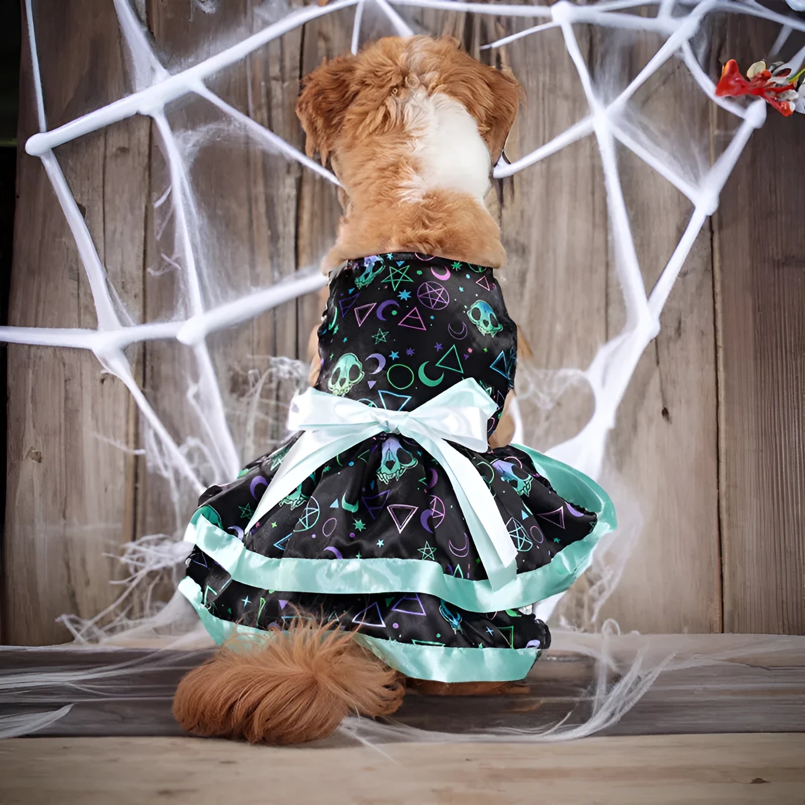 Halloween dog skirt with colourful pumpkin and skull prints in double-layer design