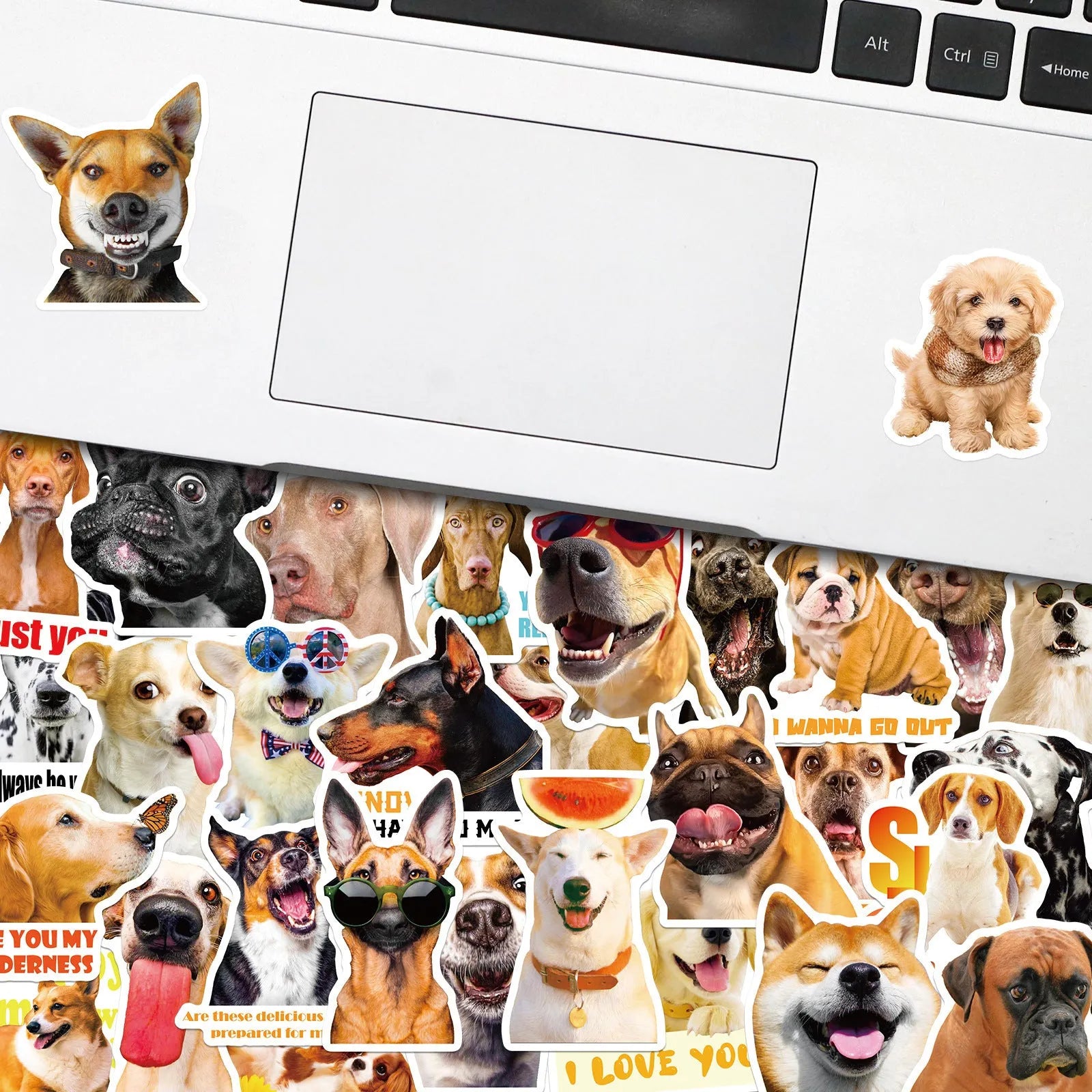 Realistic dog facial expression sticker pack with 100 sheets in Nordic style animal designs