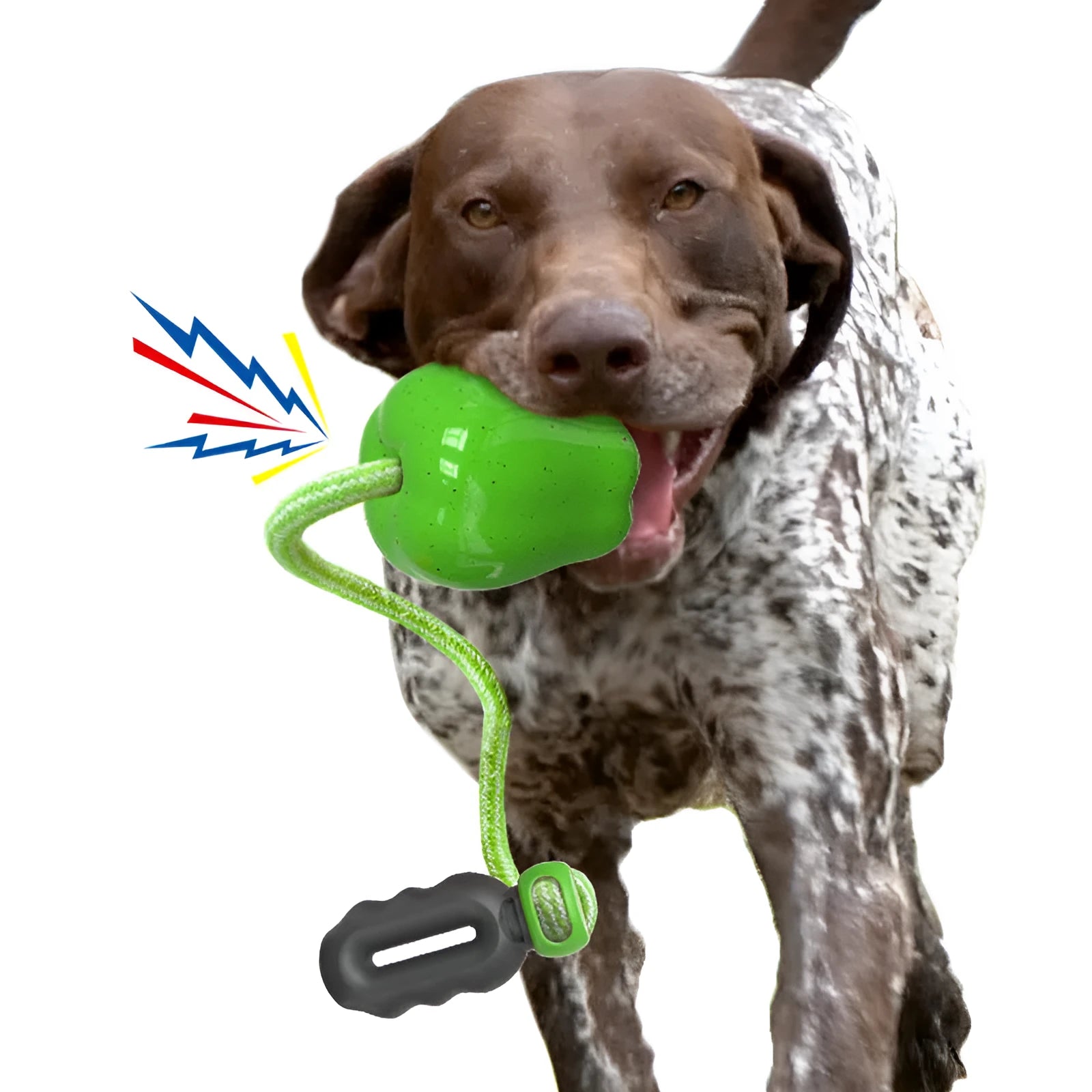 Green apple-shaped plastic dog chew toy with treat-dispensing opening