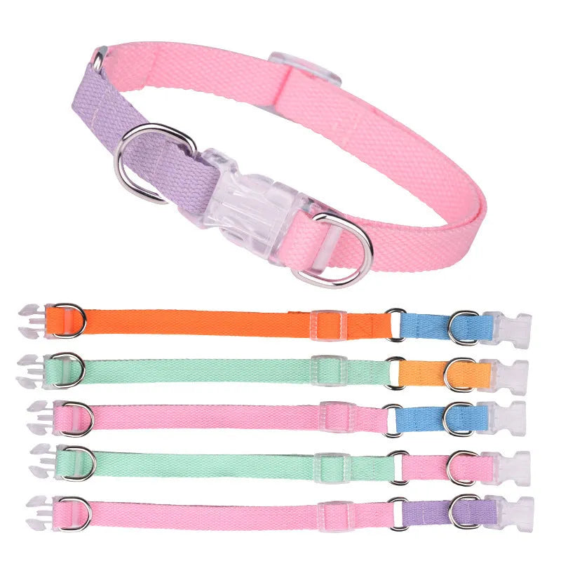 Polyester dog collar and leash set with chest strap in green and pink colour combination