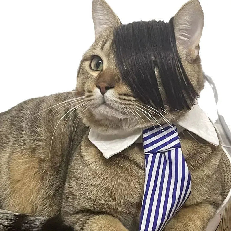 Black imitation braid cat wig with elastic band for pet costume dress up