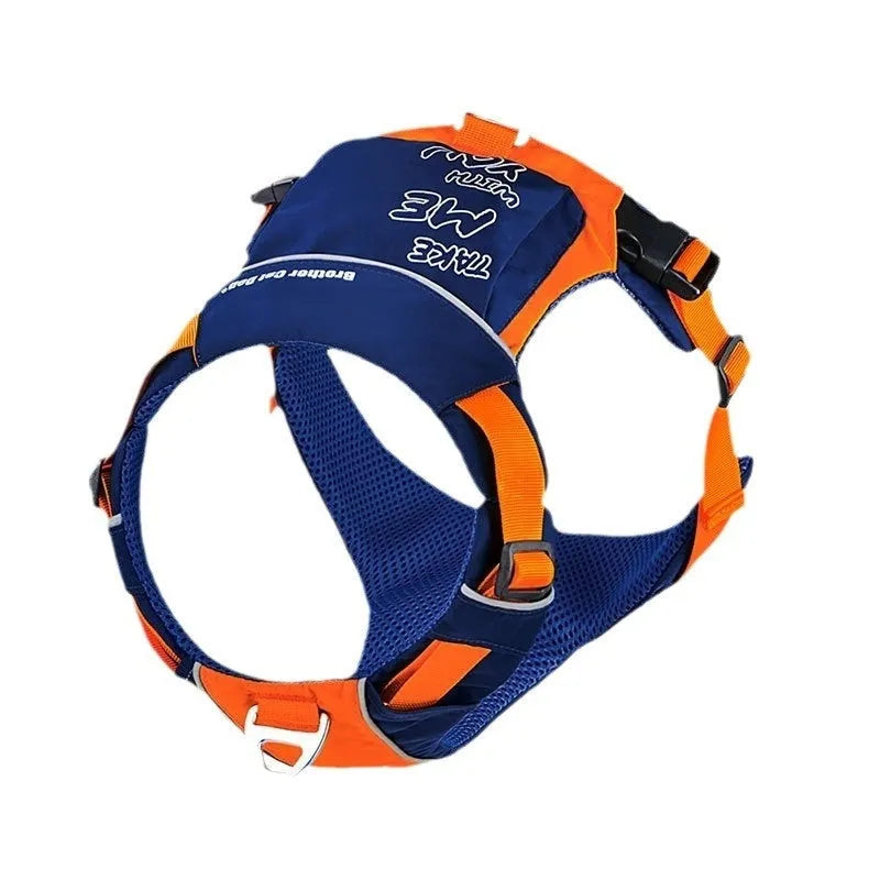 Orange blue nylon dog chest strap vest with hand rope lead shown on medium-sized dog