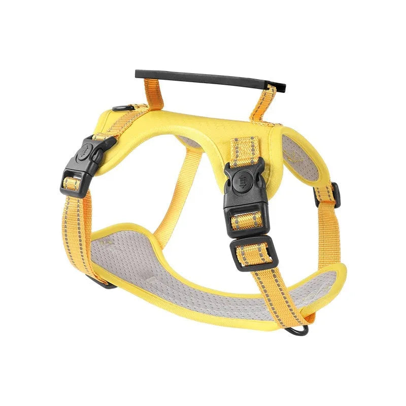 Polyester dog chest harness with attached leash in assorted colours on a white background.