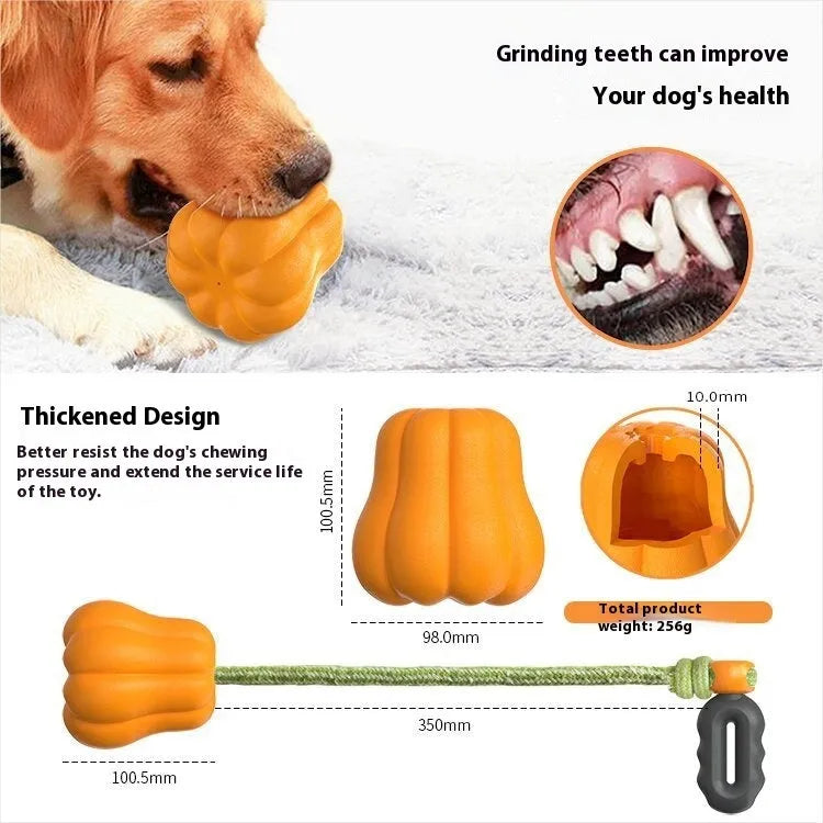 Orange plastic pumpkin dog toy with rope attachment for chewing and throwing games
