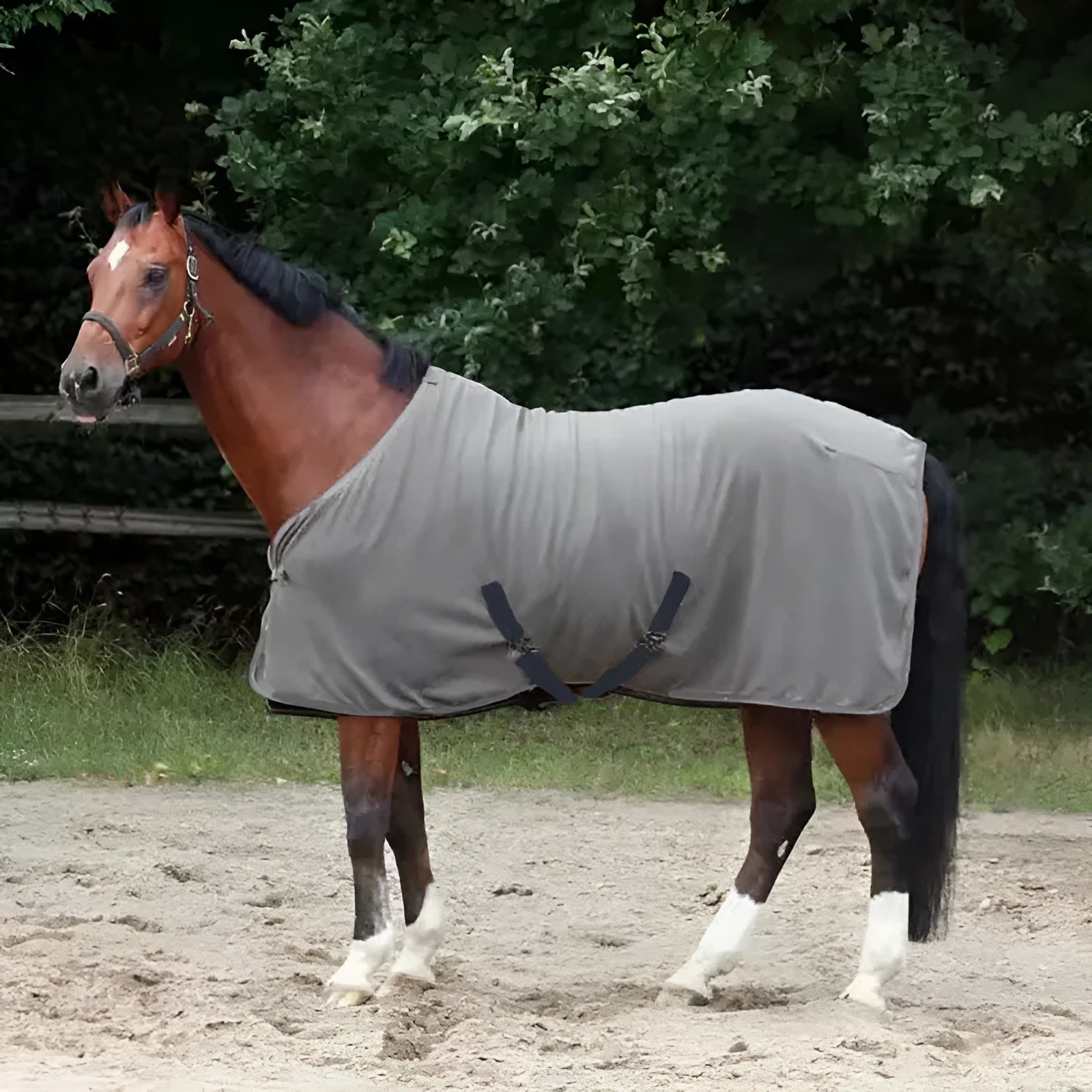 Winter thickened flannel horsecloth 180x180cm with mosquito and insect protection for horses
