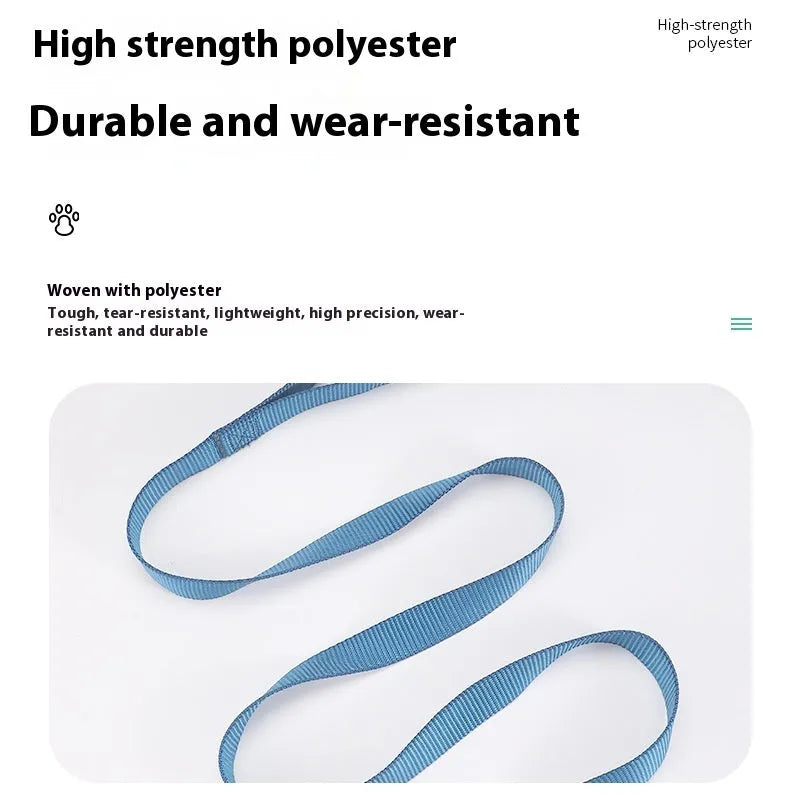 Solid colour nylon dog hand-holding lead showing single-rope construction with clip attachment