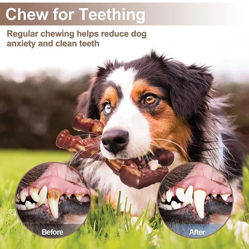 Scarlet red beef flavour nylon dog chew toy for molar nibbling, showing size scale.