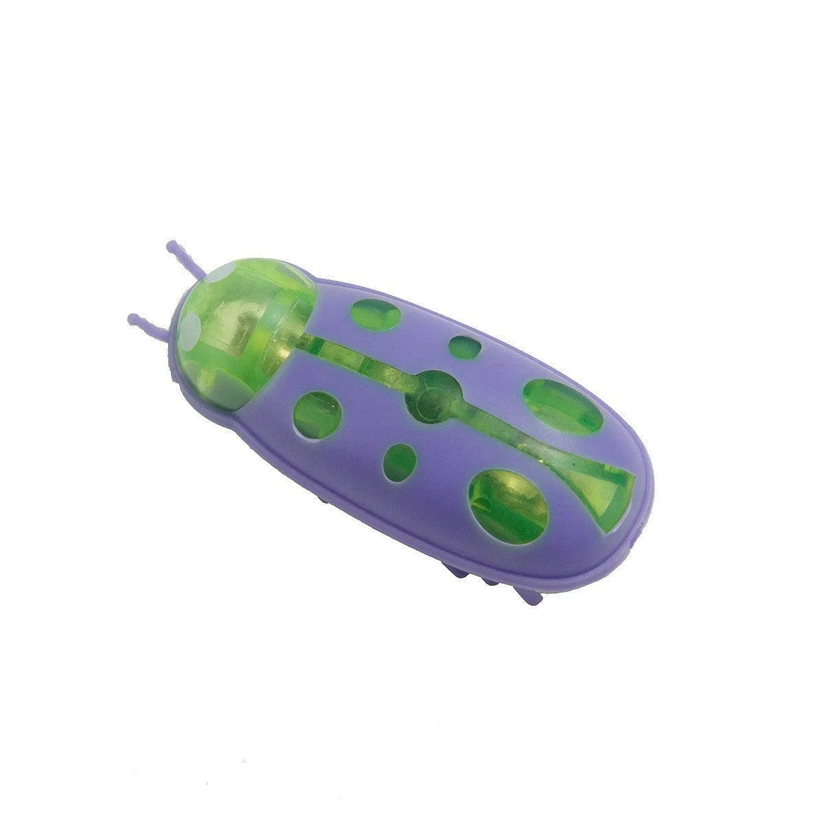 Miniature electric ladybird beetle cat toy on floor showing size and insect shape